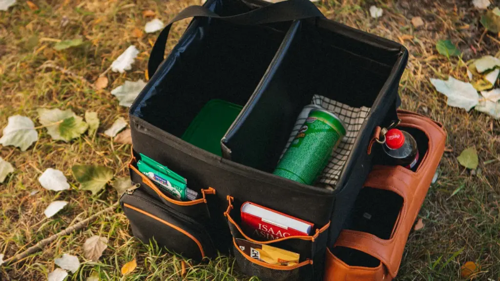 Best Back Seat Organizer