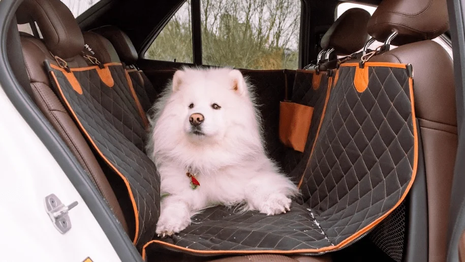 Car Seat Protector for Dogs