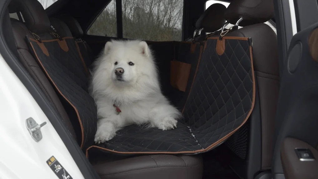 Dog Car Seat Covers