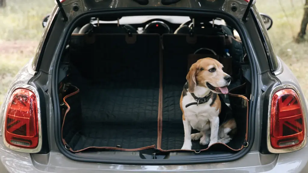 Dog Car Seat Covers