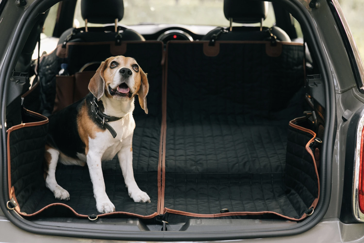 pet seat cover for Buick Encore