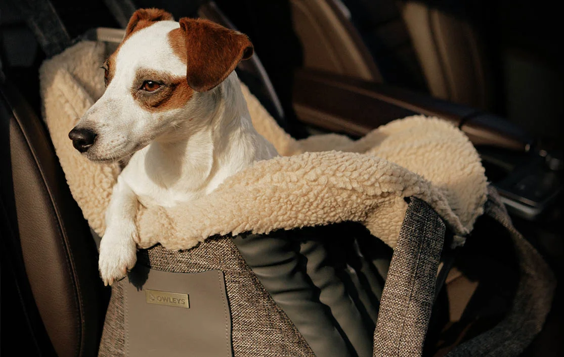Ram Truck Dog Carrier Car Seat for Cairn Terrier