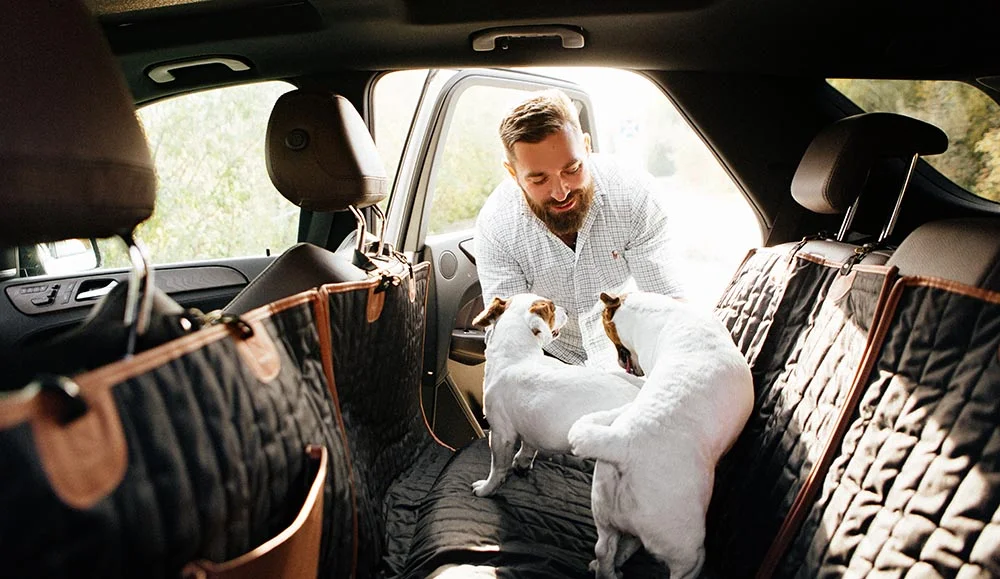 Scottish Terriers back seat cover for Audi Q5