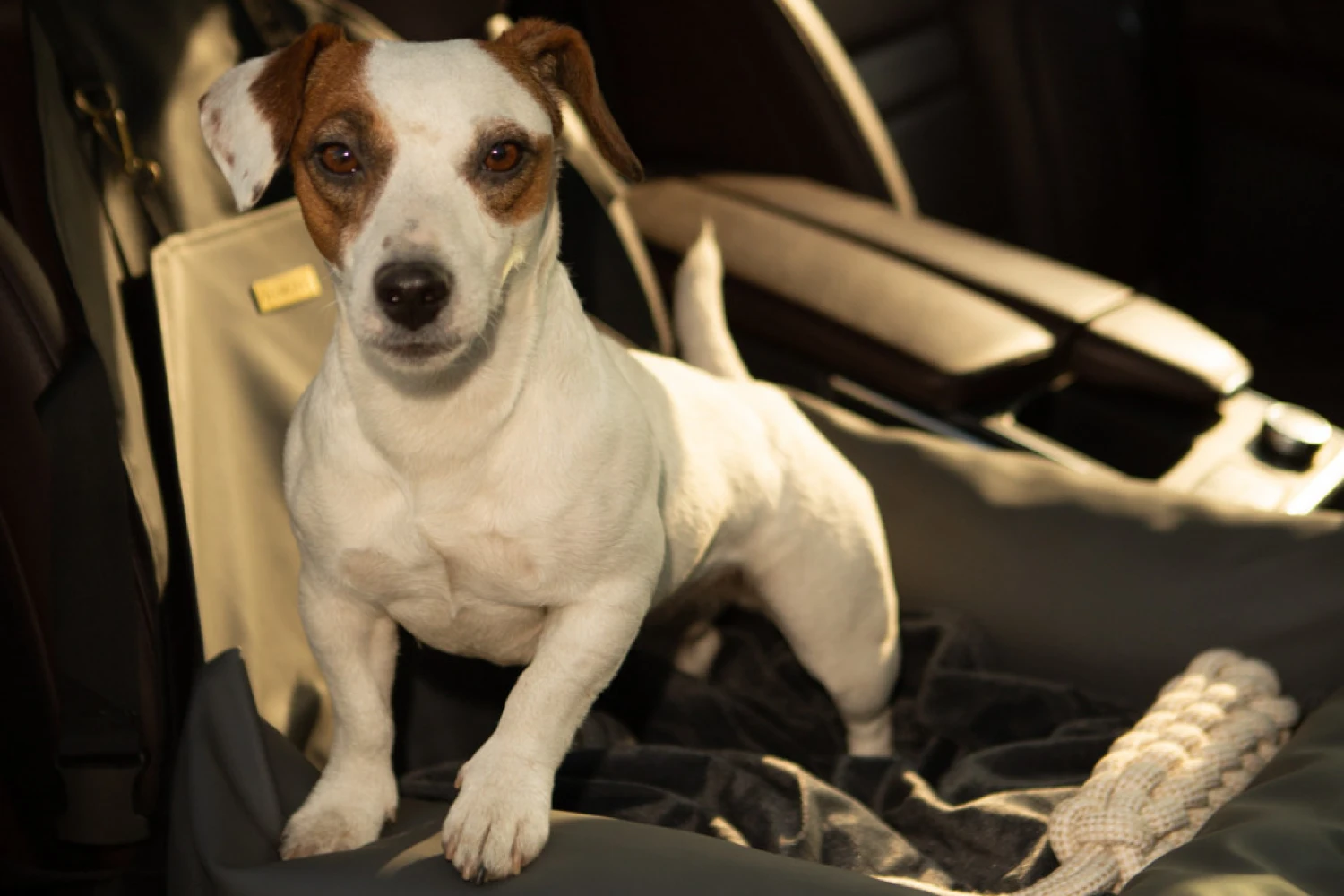 Swedish Vallhunds Dog Car Seat for Nissan Pathfinder