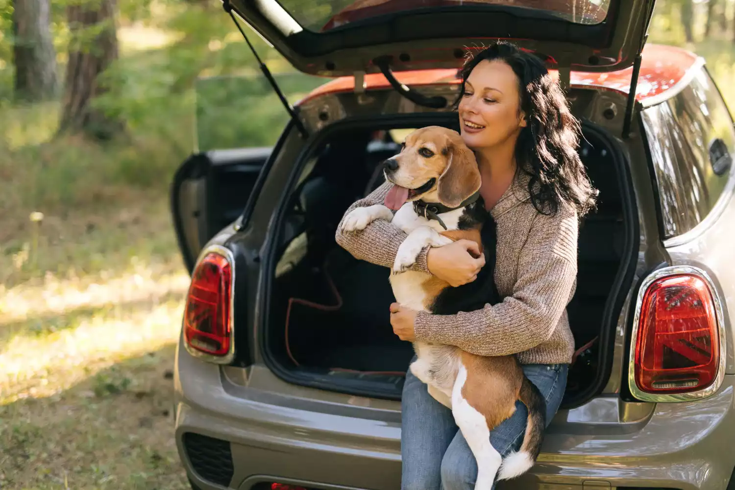 Australian Shepherds back seat cover for Nissan Maxima