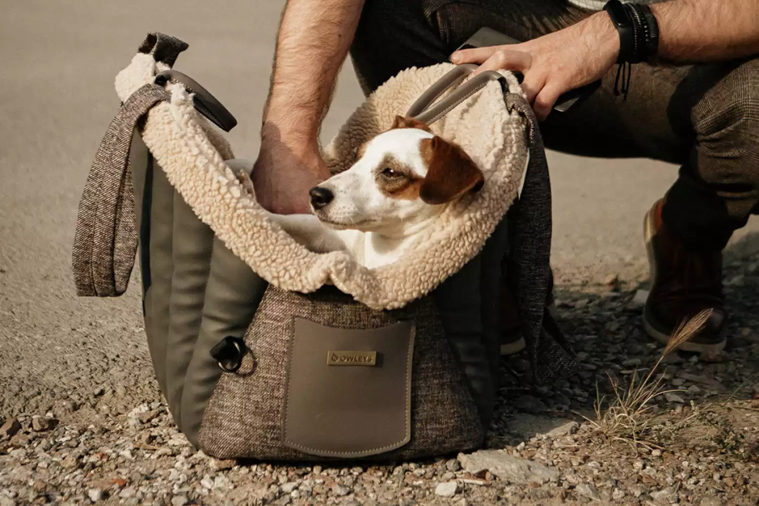 Toy Cocker Spaniel Dog Carrier Car Seat for Lexus NX