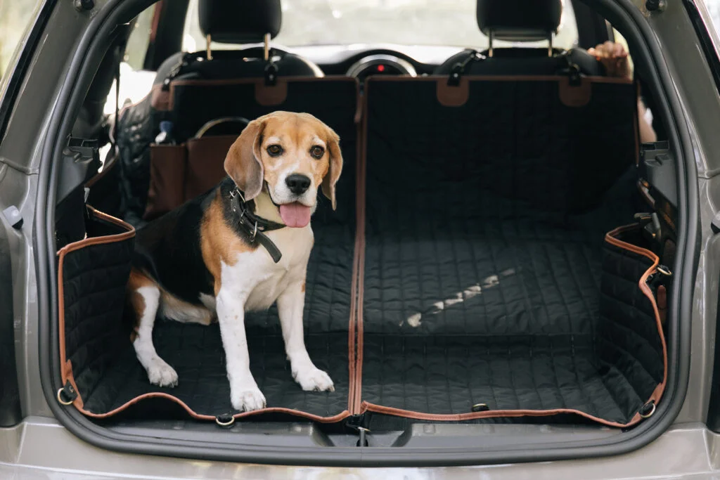 Staffordshire Bull Terriers back seat cover for Audi A4