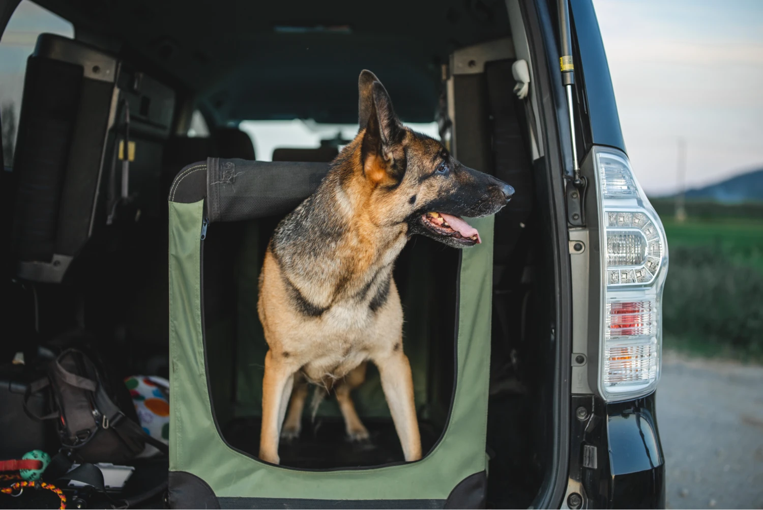 Toyota Tacoma back seat cover for German Shepherd Dogs