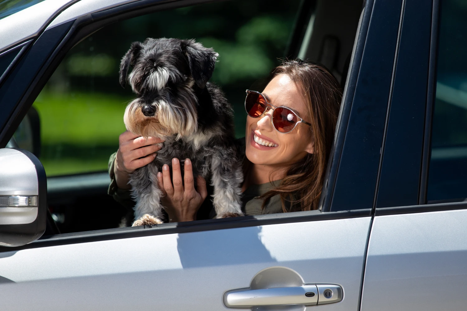 Toyota Tundra back seat cover for Miniature Schnauzers