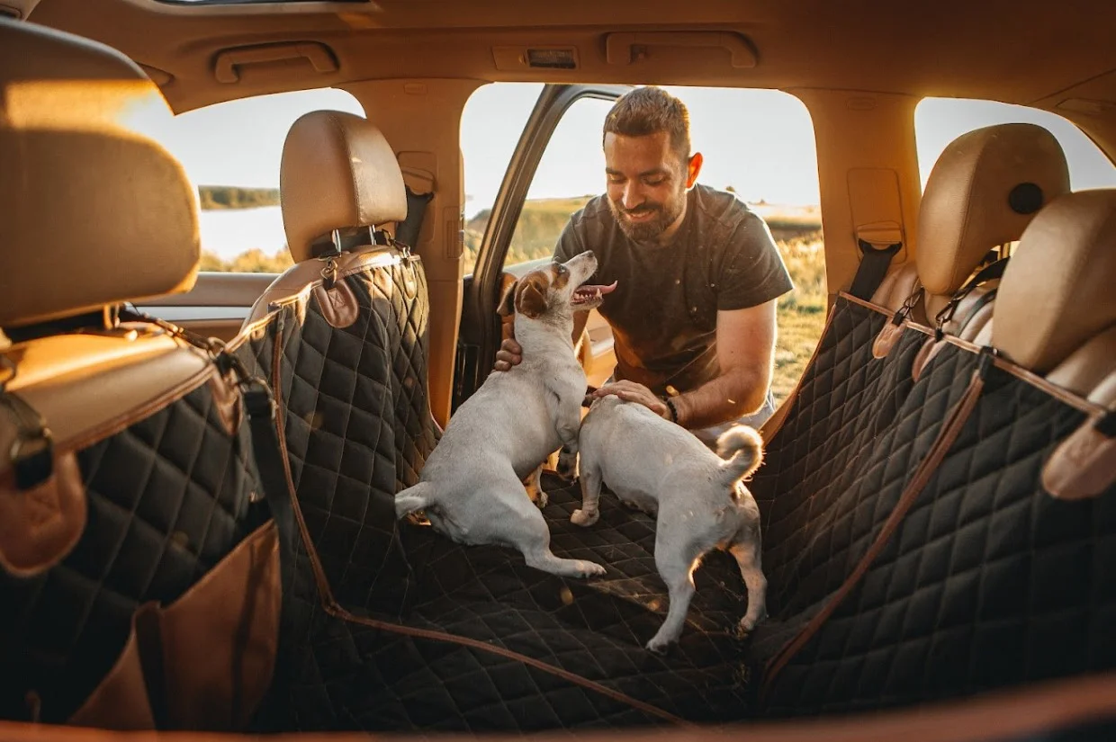 Golden Retrievers back seat cover for Nissan Maxima