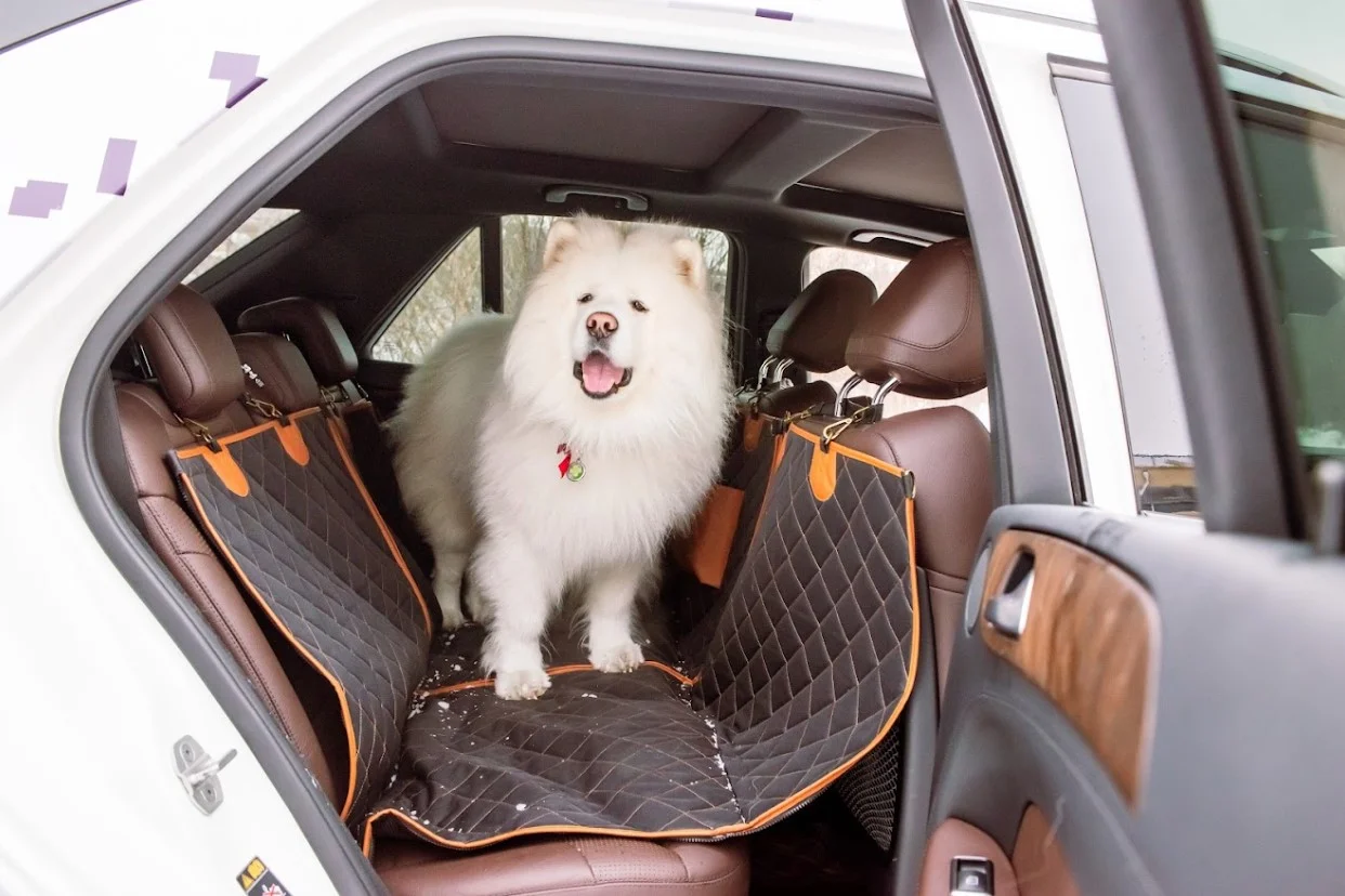 pet seat cover for Buick Encore