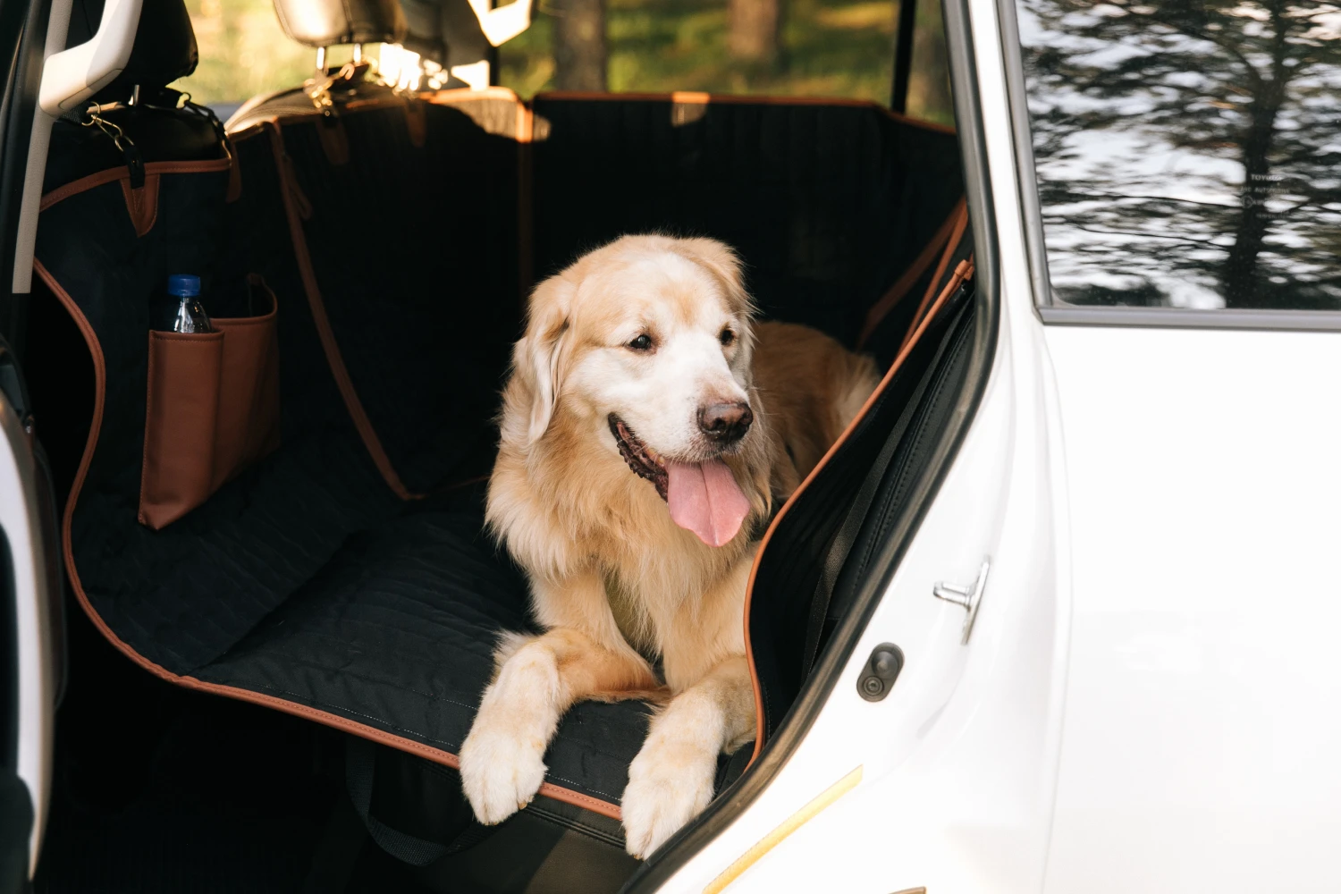 Shiba Inu back seat cover for Acura RDX