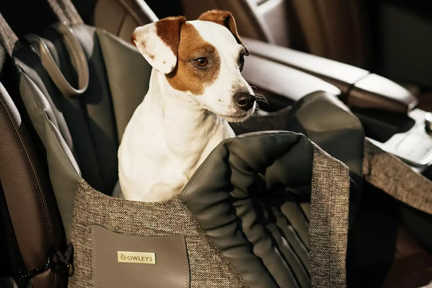 Smooth Fox Terrier Dog Carrier Car Seat for Honda Fit