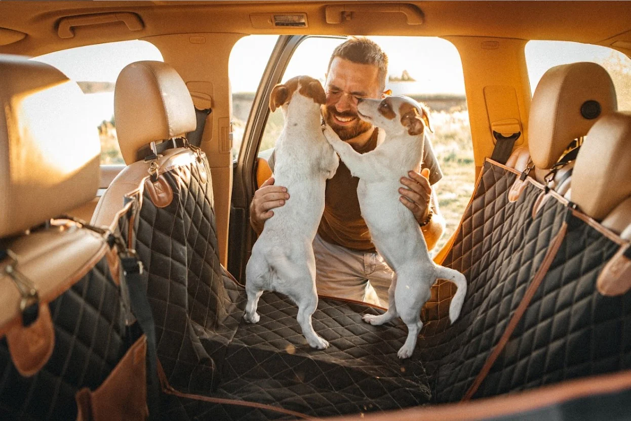 St. Bernards back seat cover for Volkswagen Golf