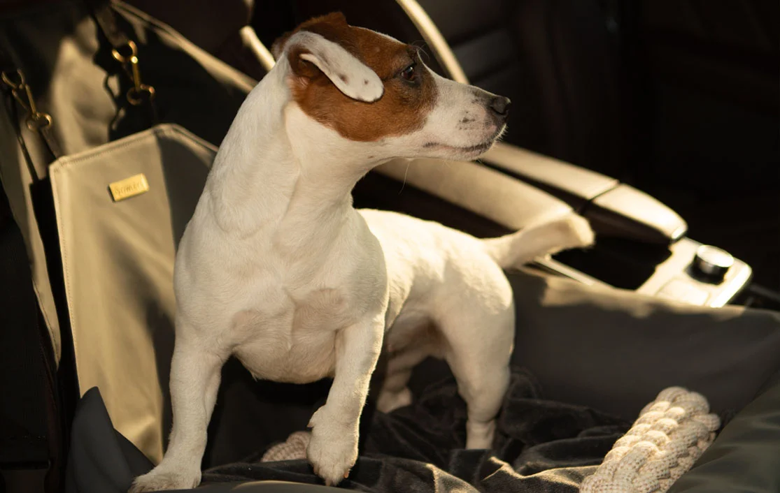 Swedish Vallhunds Dog Car Seat for Nissan Pathfinder