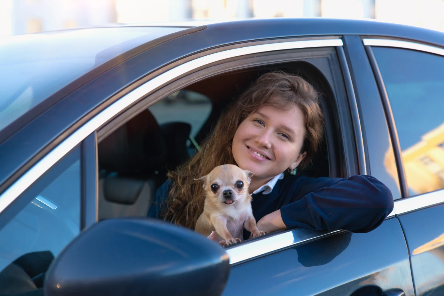 Chevrolet Impala Dog Car Seat for Chihuahuas
