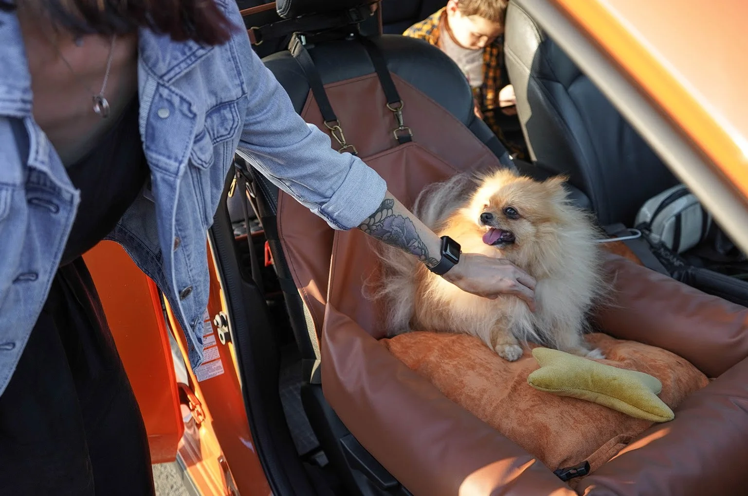 Lagotto Romagnolo Dog Car Seat for Ford F-Series